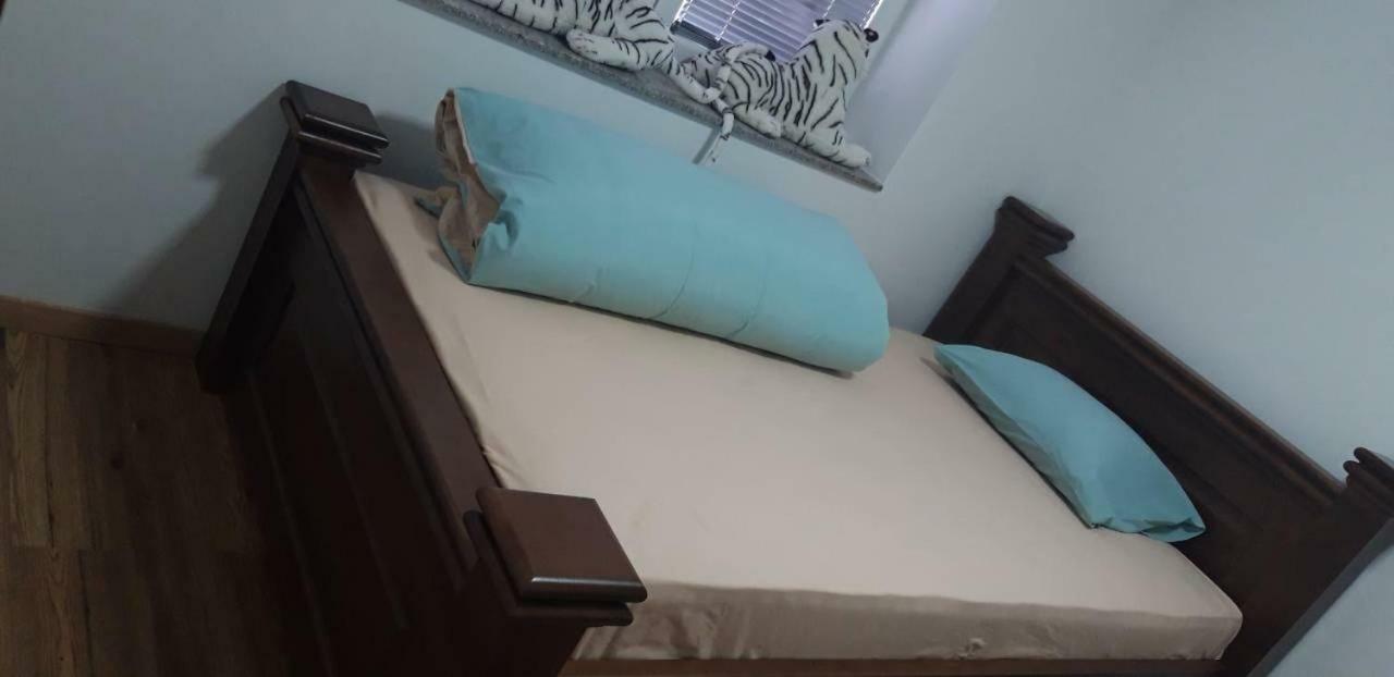 Ema Guest House Πλαβ Εξωτερικό φωτογραφία